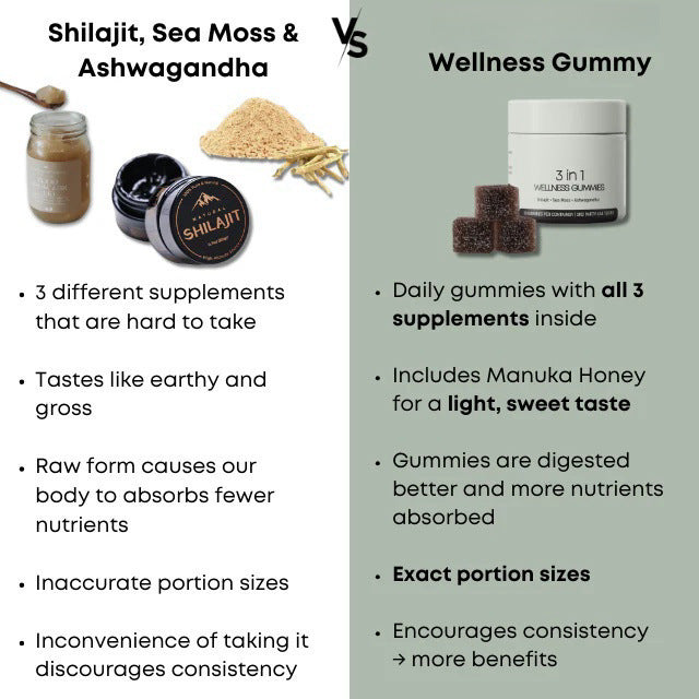 Household Cure 3-in-1 Men's Shilajit Soft Candy